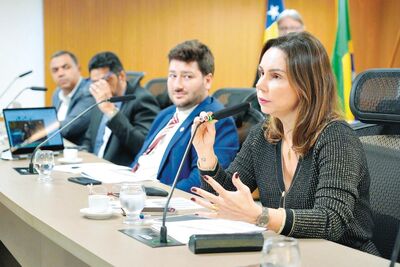 Renata Lacerda Noleto, Secretária de Economia de Goiás, Assembleia Legislativa de Goiás, LDO