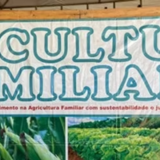 Feira Agro Centro-Oeste e espaço destinado para agricultores familiares ressaltarem a importância da agricultura familiar.
Foto: Yandria Rayellen