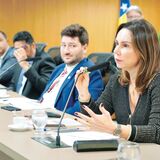 Renata Lacerda Noleto, Secretária de Economia de Goiás, Assembleia Legislativa de Goiás, LDO