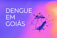  dengue-destaque-site
