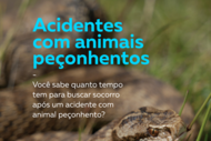 soroterapia10