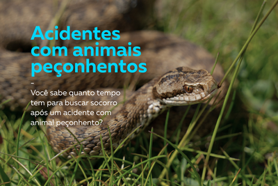 Acidentes com animais peçonhentos capa