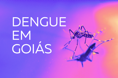  dengue-destaque-site
