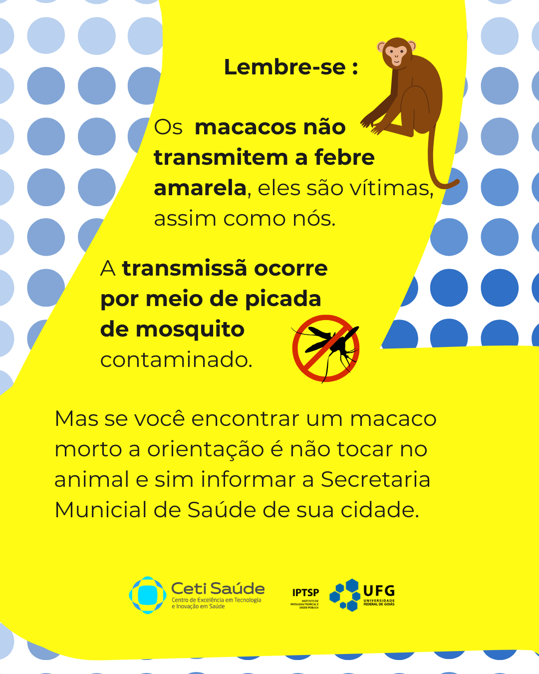  Ceti-Saúde - Feed febre amarela.png
