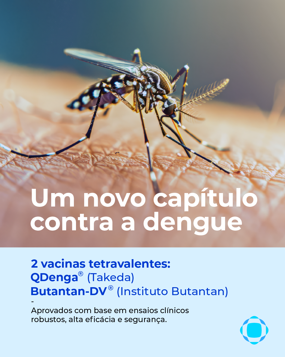  carrossel_dengue-01.png