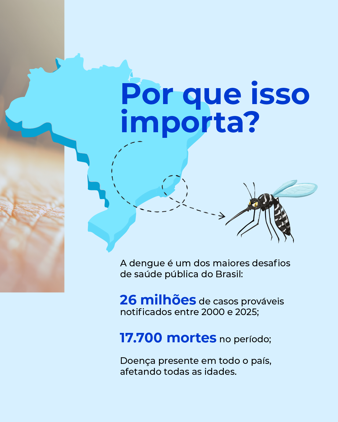  carrossel_dengue-02.png