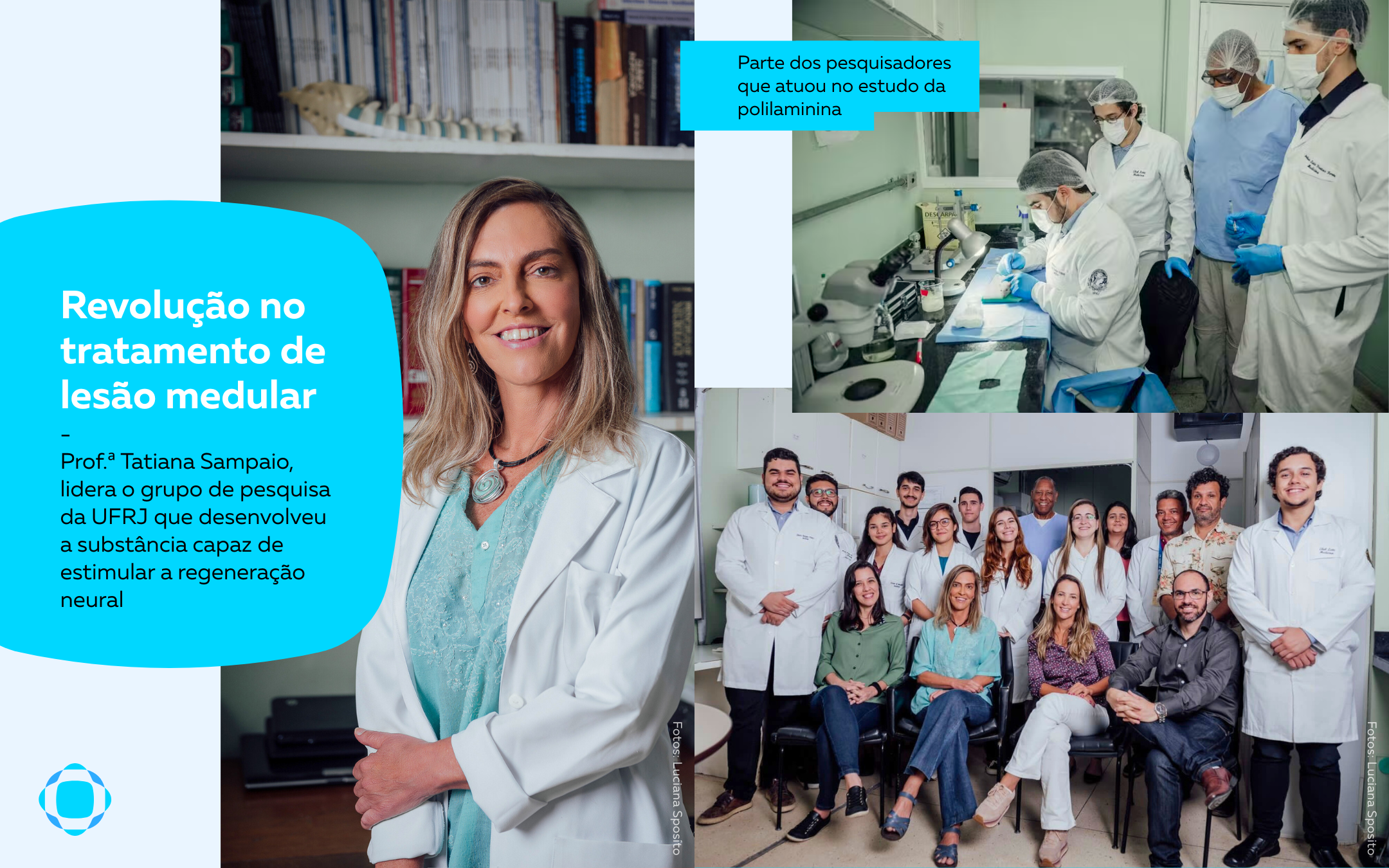 lesao medular - ilustraçao