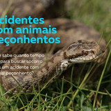 Acidentes com animais peçonhentos capa