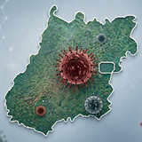  capa - artigo covid-19.png
