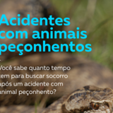 soroterapia10