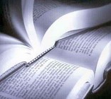 noticia1272917313_ORIG.jpg