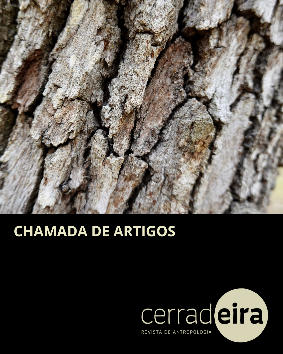 chamada