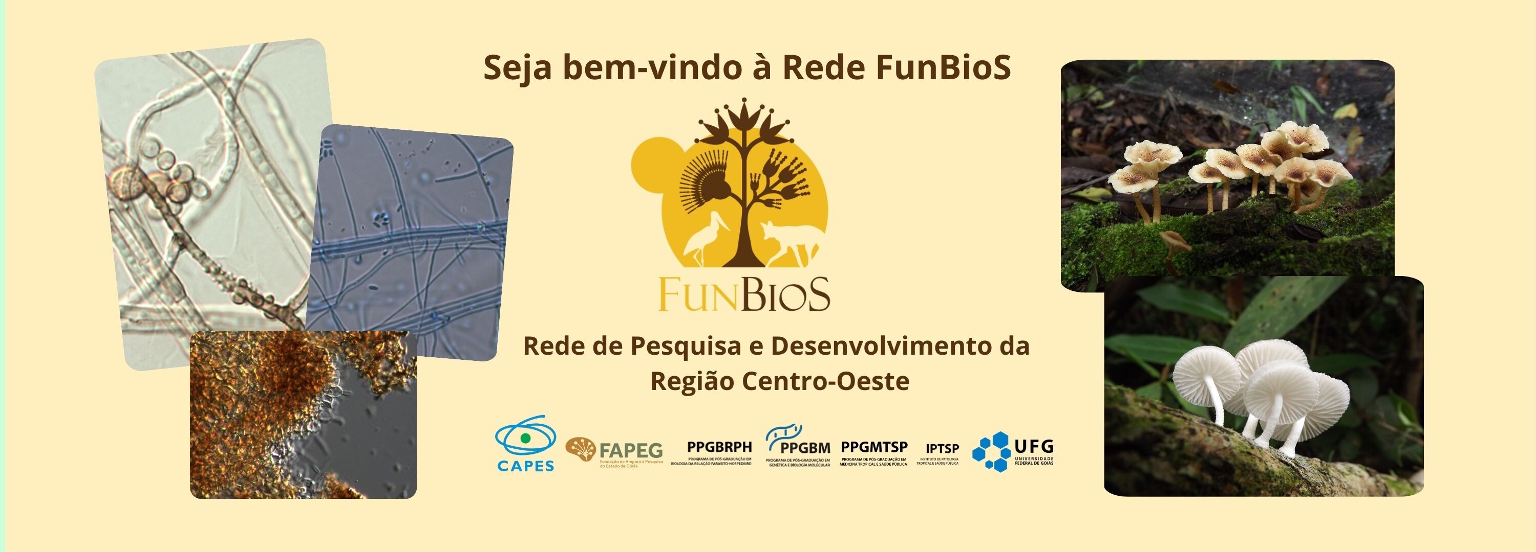 Rede Funbios - super banner 