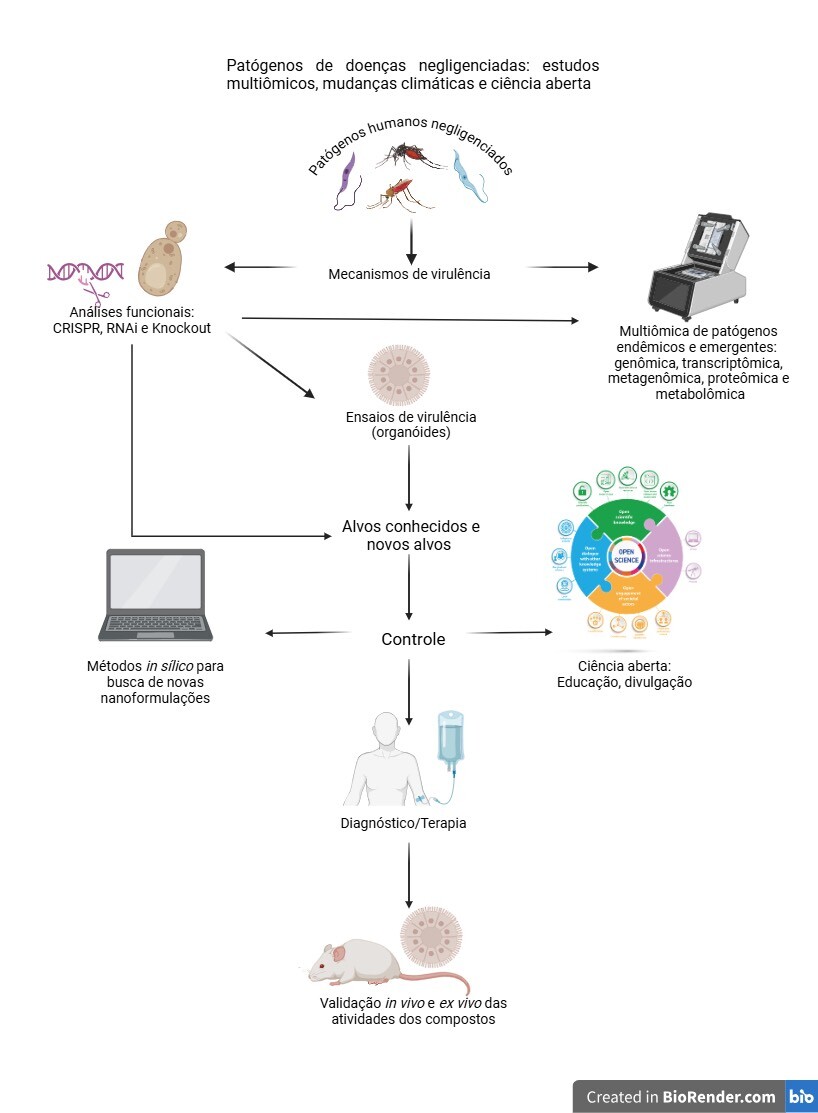 FLUXOGRAMA INCT