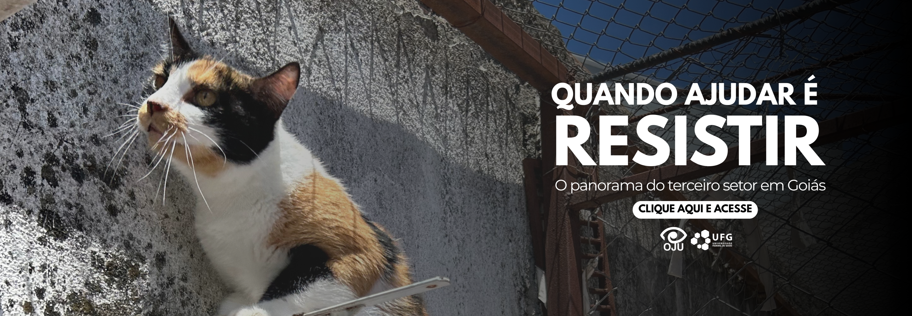 O panorama do terceiro setor em Goiás