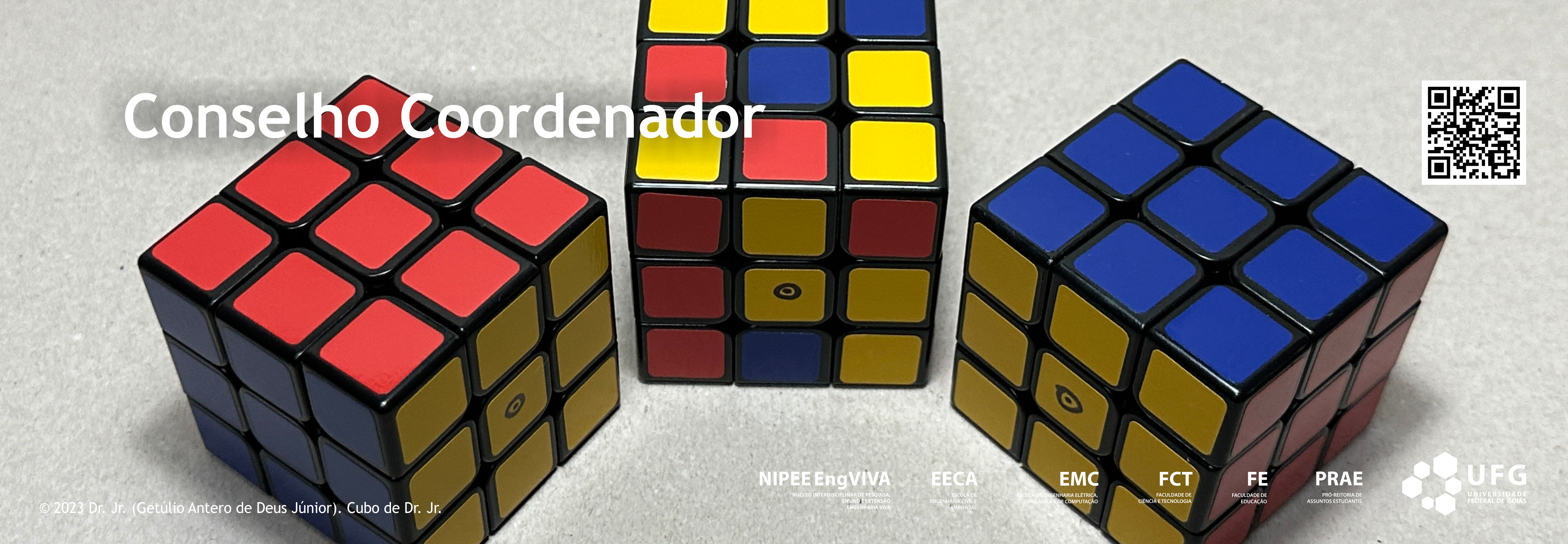 2-banner-portal-nipee-engviva