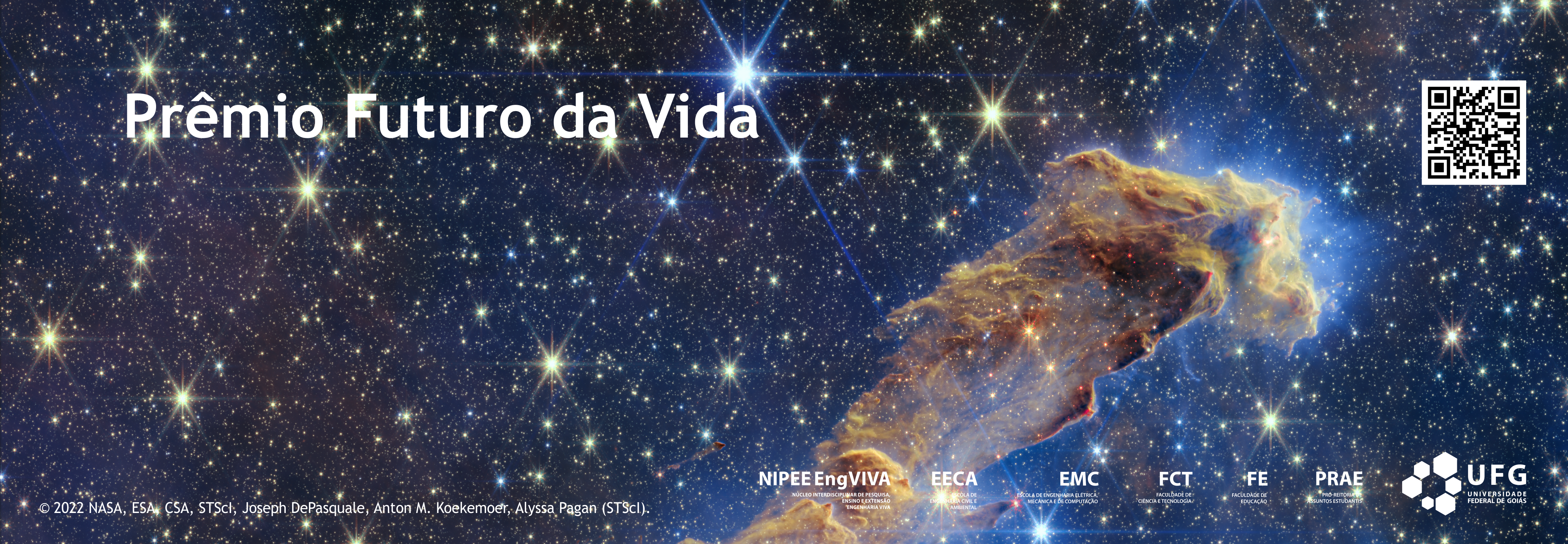 7-banner-portal-nipee-engviva
