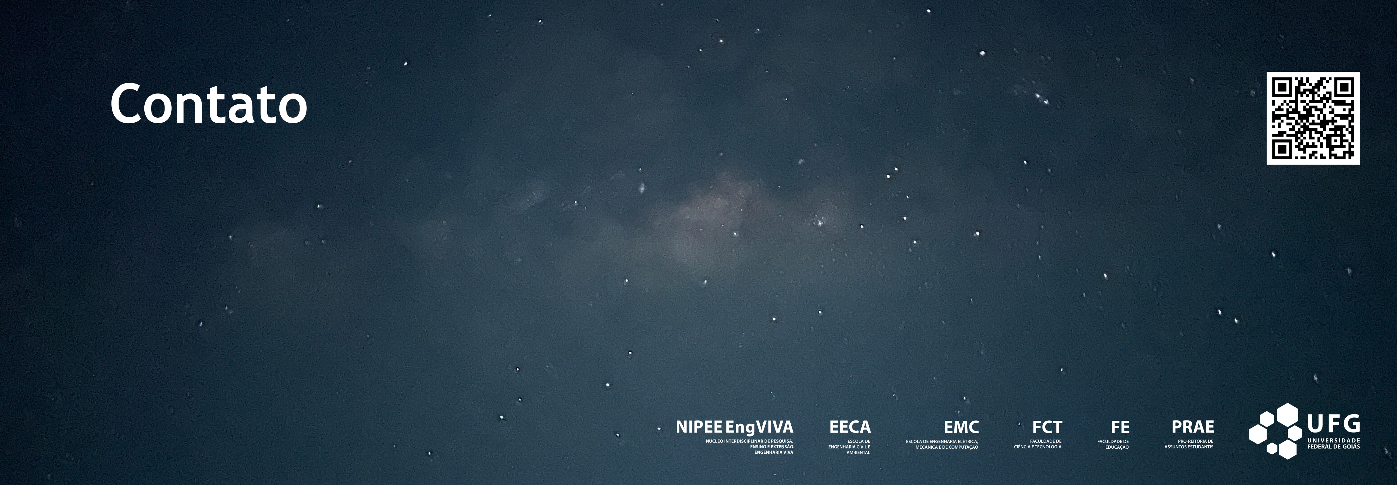 9-banner-portal-nipee-engviva