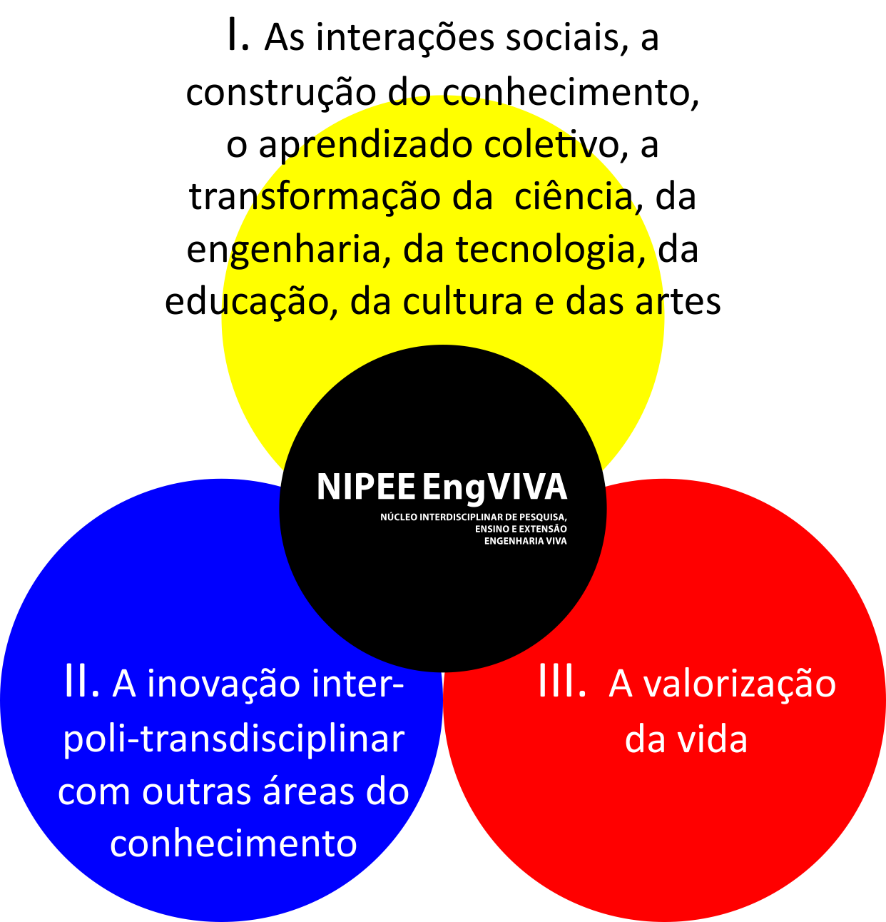 figura-1-princípios-do-nipee-engviva