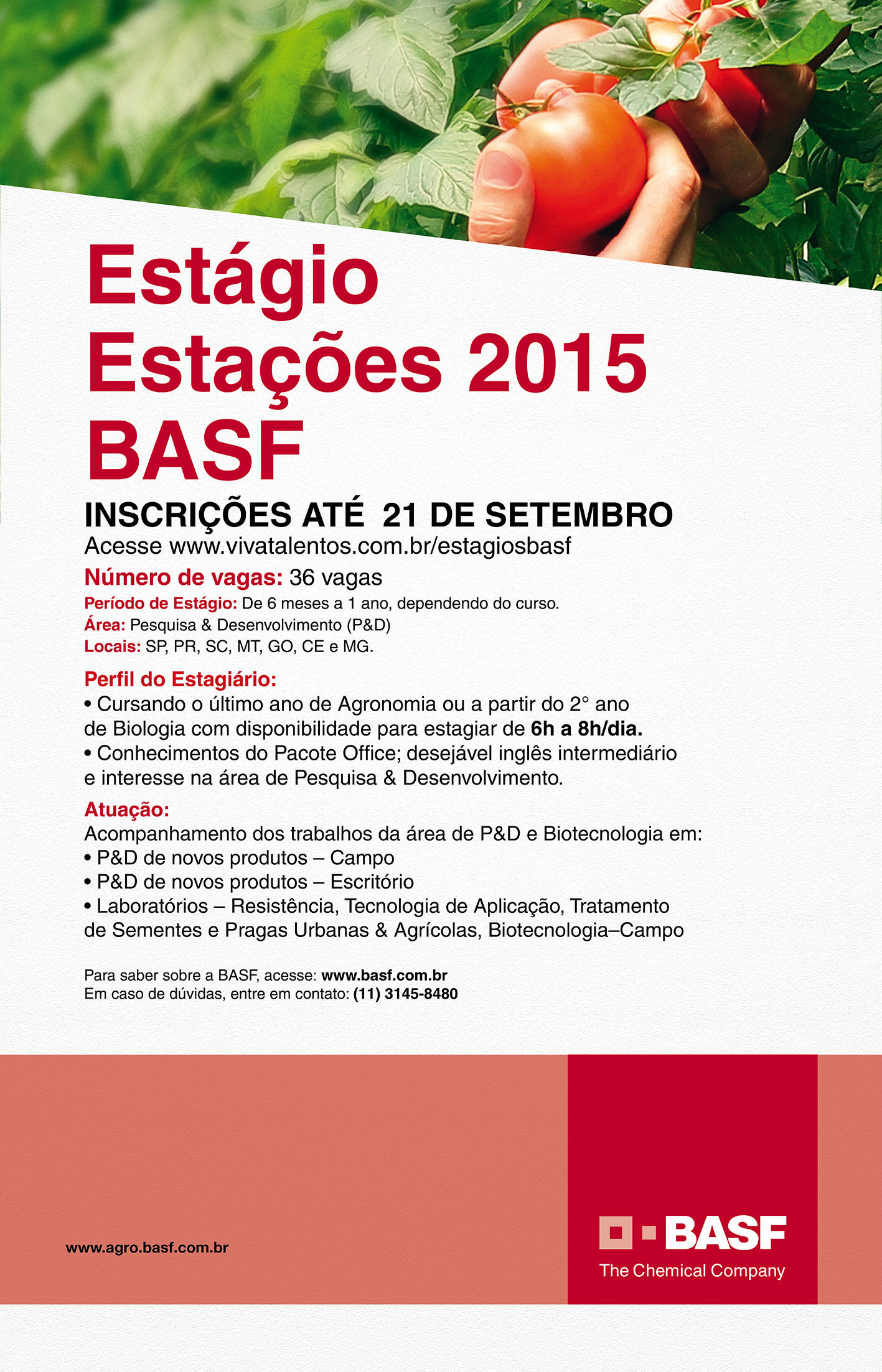 https://agronomia.jatai.ufg.br/up/163/o/Banner_Tomates.jpg?1410552954