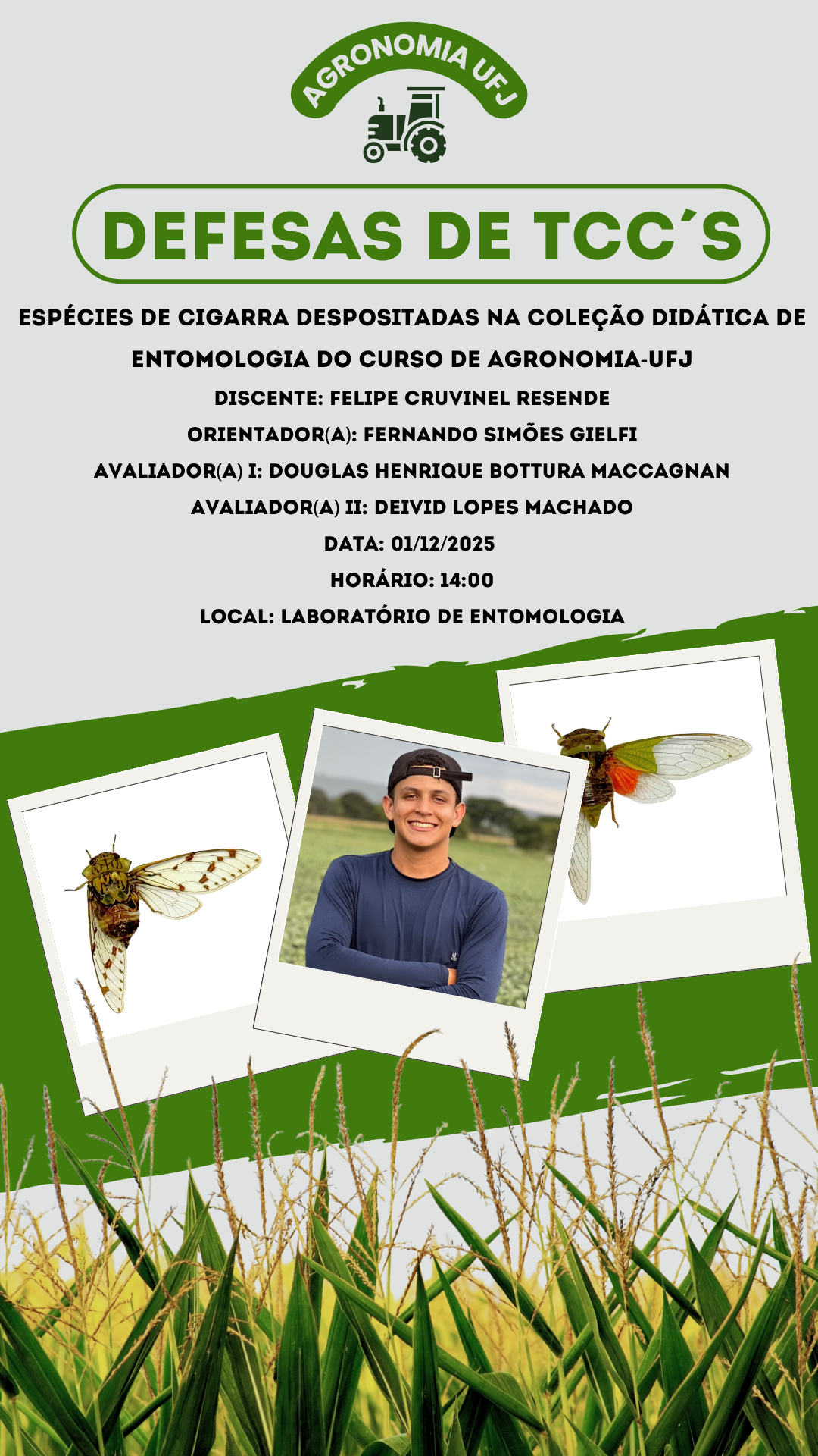  TCC Felipe Cruvinel Resende.png