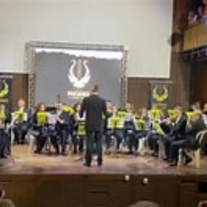 Banda Phoenix