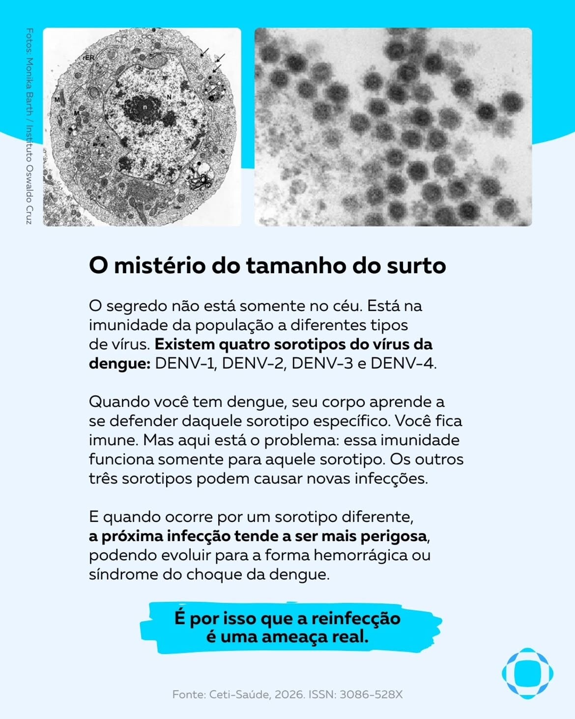 carrossel dengue 6