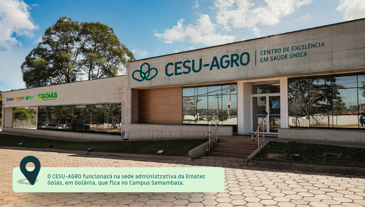 SEDE