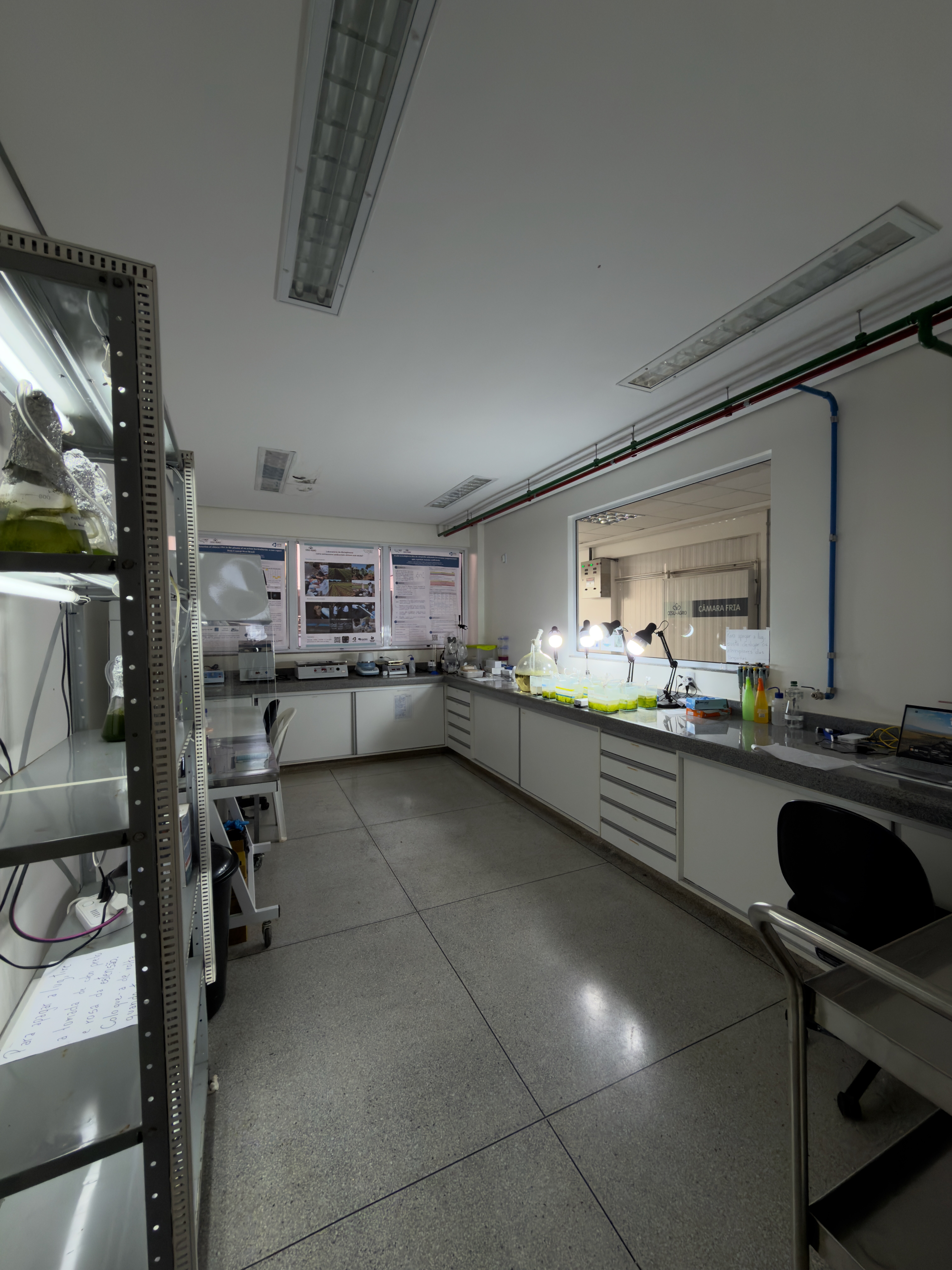 lab toxico