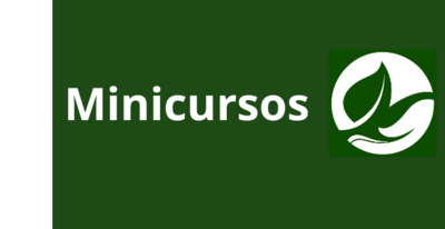 Minicursos