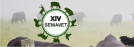 XIV SEMAVET