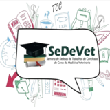 SEDEVET 2021
