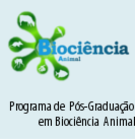 ppgbca