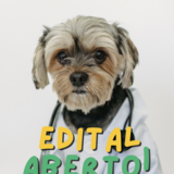 Edital