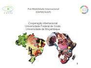 Pró-Mobilidade Internacional