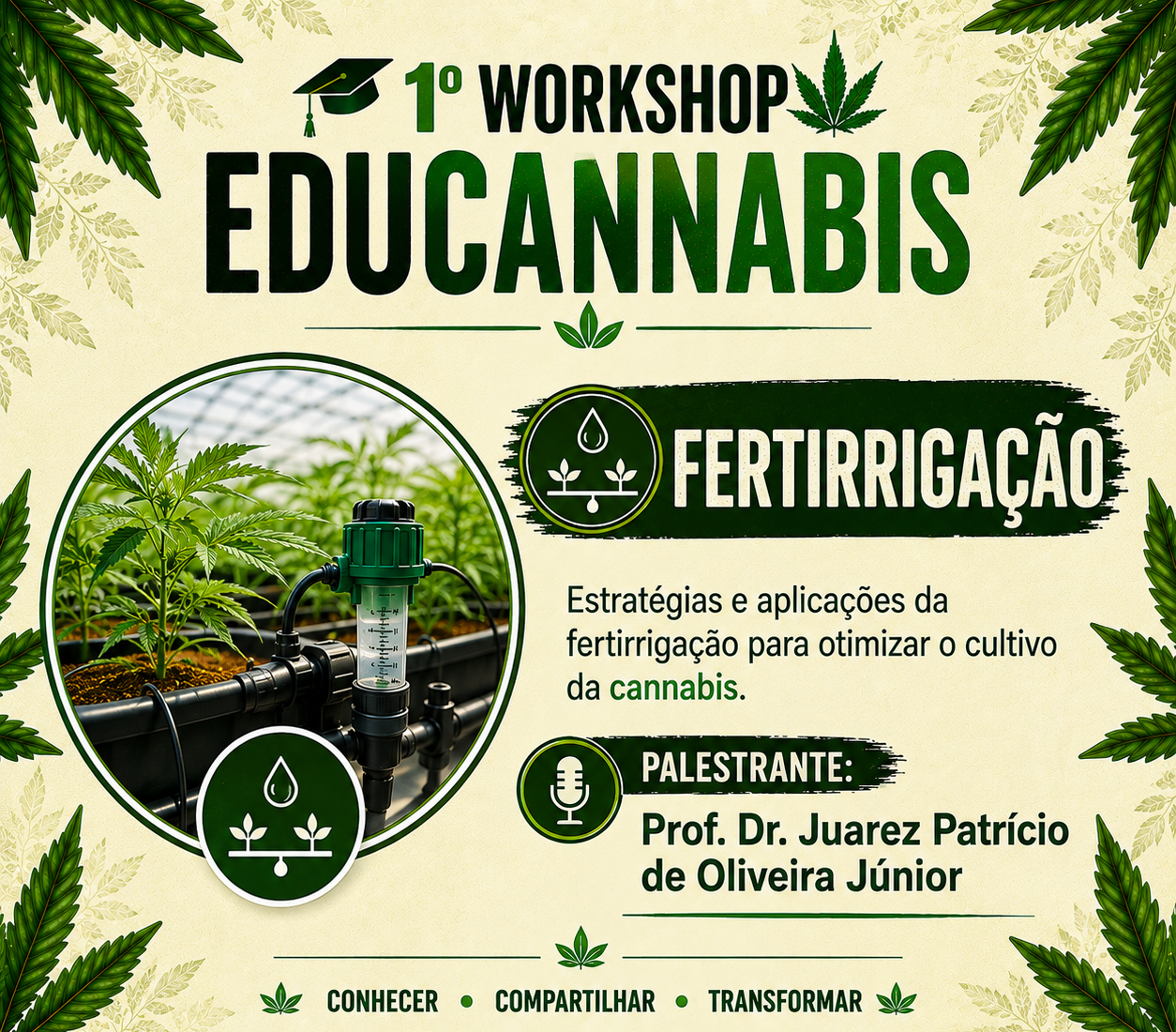 fertirrigação