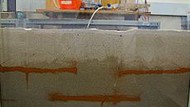 Biofiltro