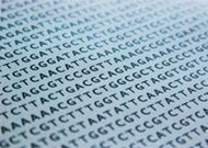 DNA