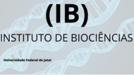 LOGO IB