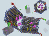 Nanocargueiro