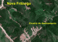 noticia1298925059_ORIG.gif