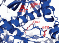 noticia1302894865.gif