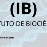 LOGO IB