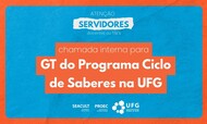 Chamada Interna