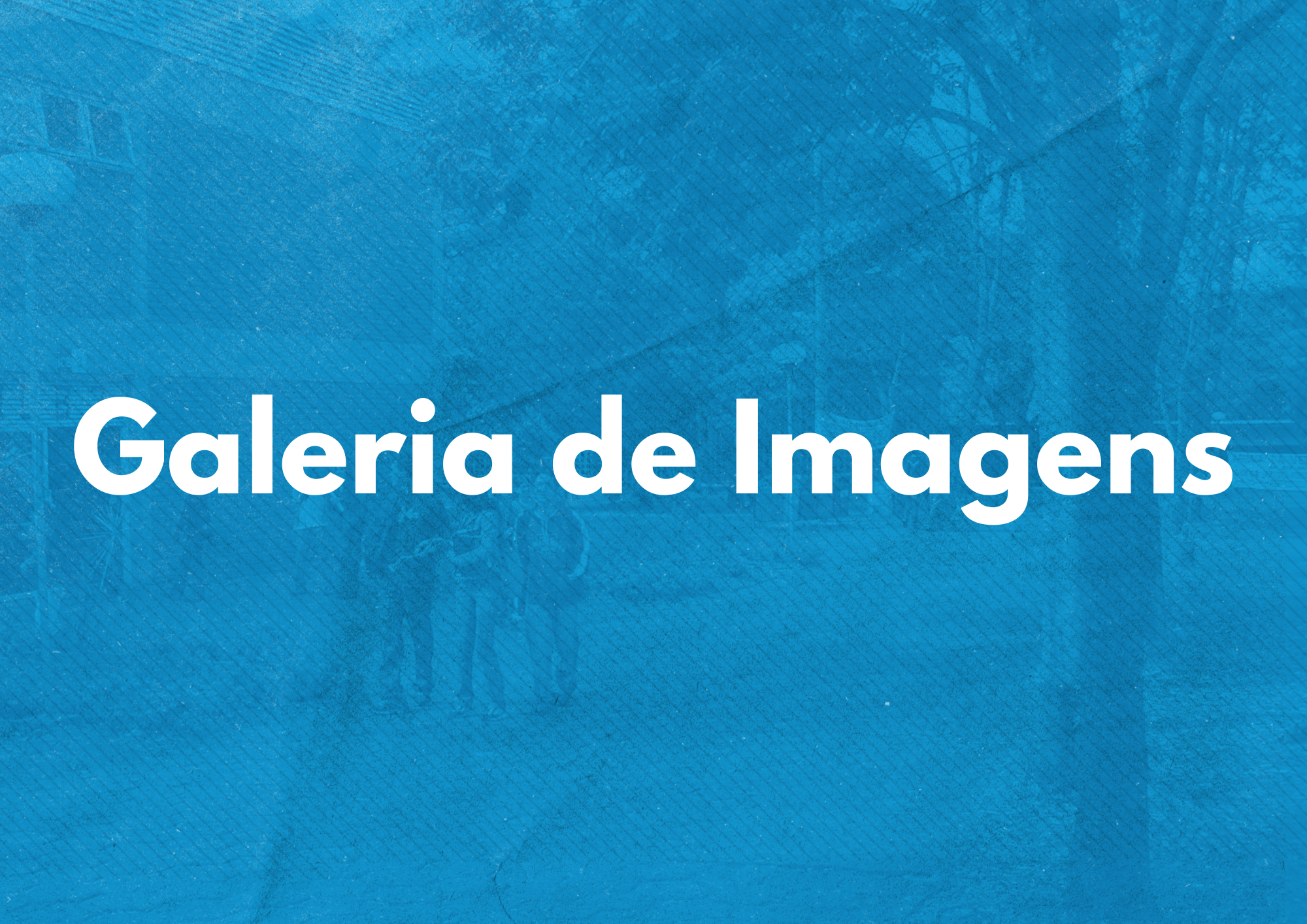 imagens imagens