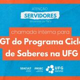 Chamada Interna