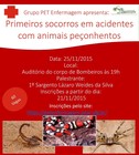 Primeiros socorros em acidentes com animais peçonhentos