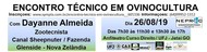 Dia da ovelha