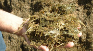 The XVII International Silage Conference 
