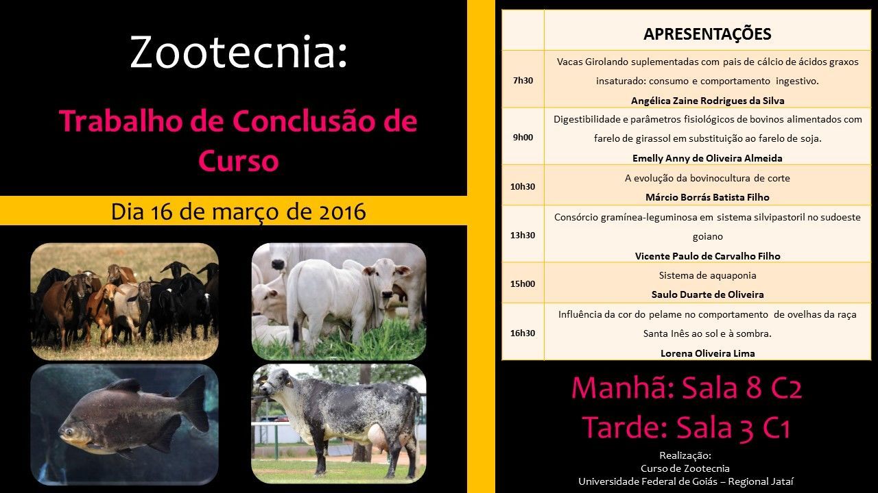 Apresentação do Projeto Orientado